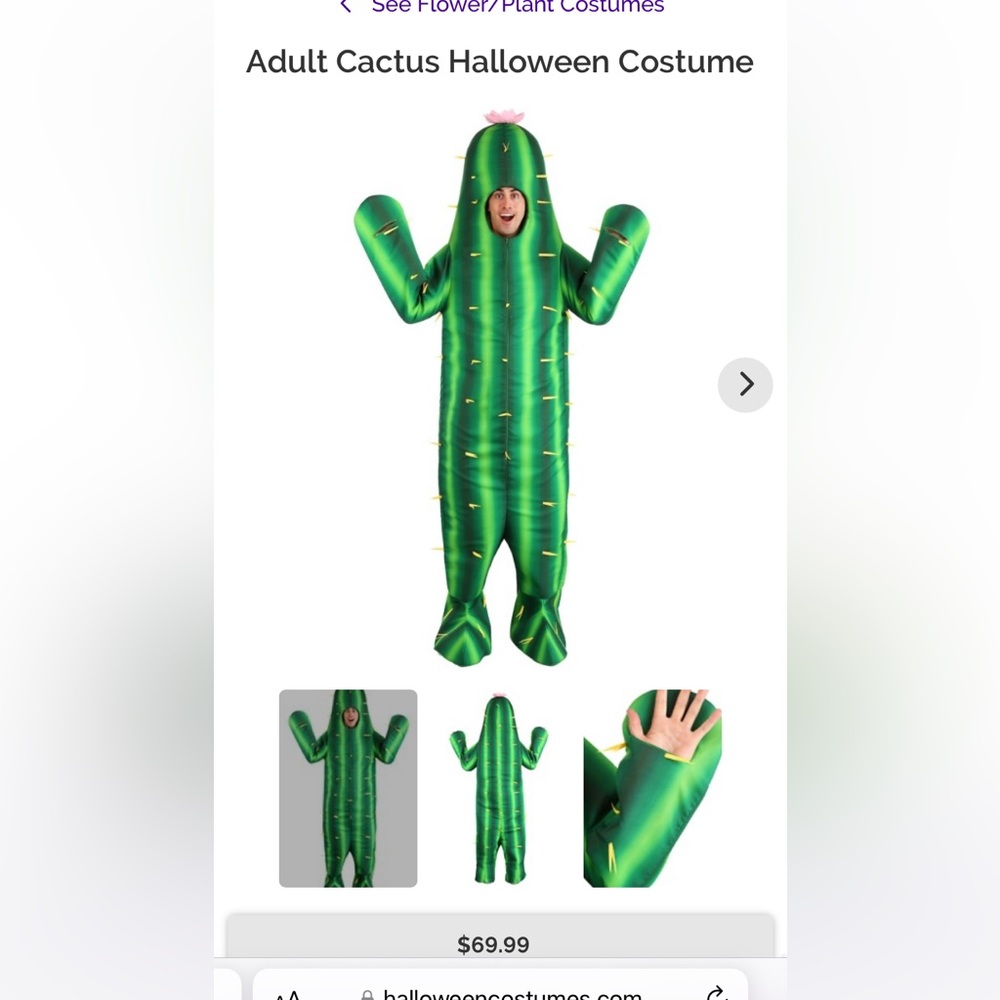 CACTUS COSTUME
